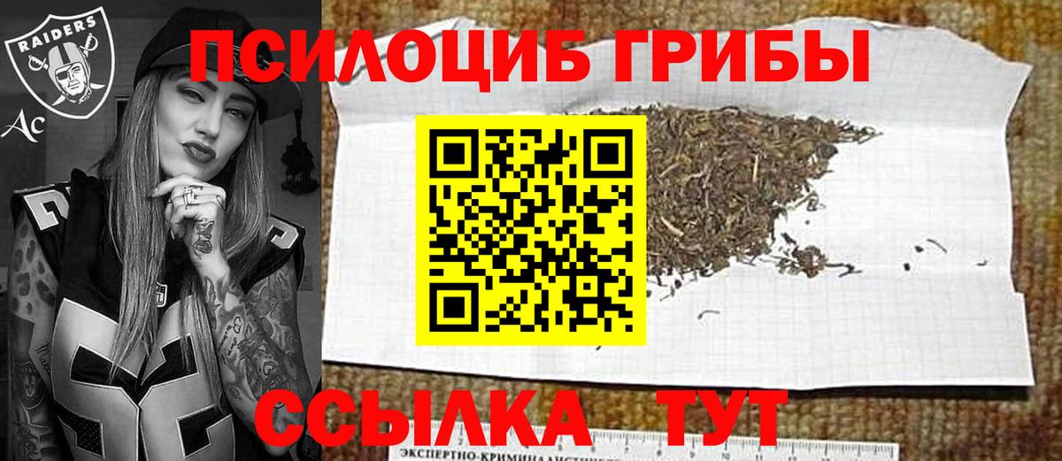 Галлюциногенные грибы Psilocybe Дальнегорск
