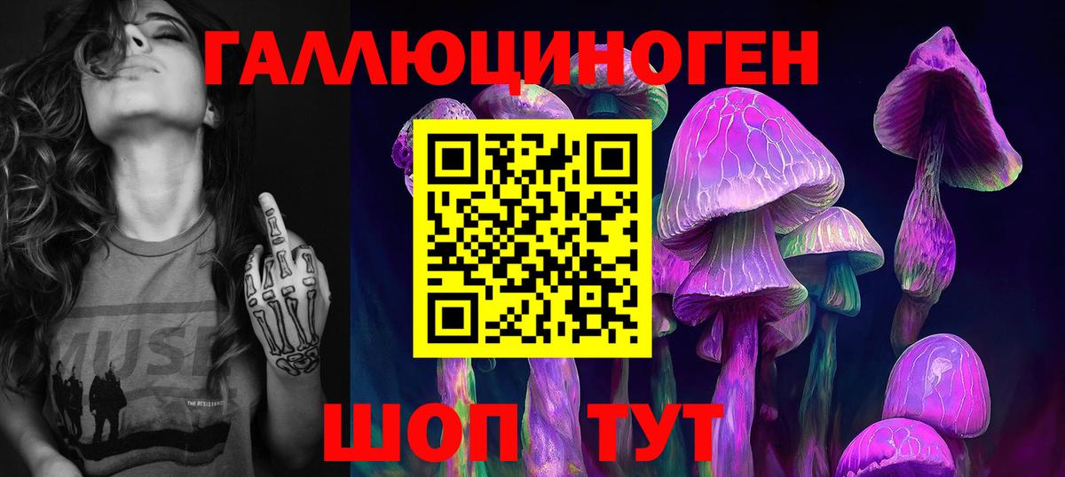 Дальнегорск  Псилоцибиновые грибы GOLDEN TEACHER  наркошоп  Вход с VPN 